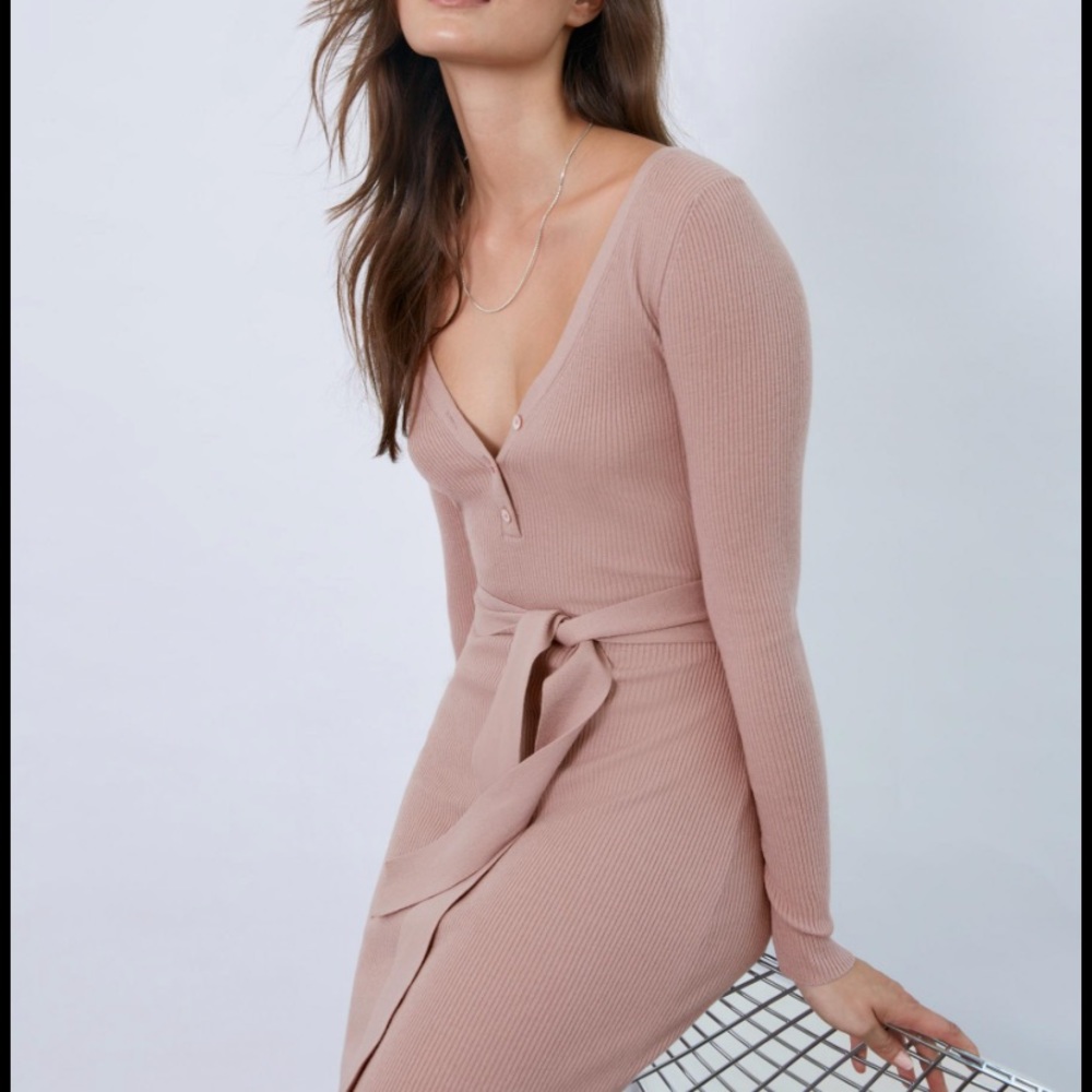 The Group Babaton Lilac/Pink Dress